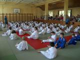 2015. június 6. - VIII. Harsányi Judo Gála