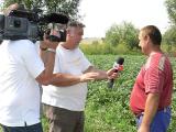 2011.07.14. - Harsányban forgatott a Hír TV stábja