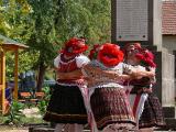 2011.08. 27. - Bükkaljai Szüreti Napok rendezvény sorozat, Harsányi rendezvénye